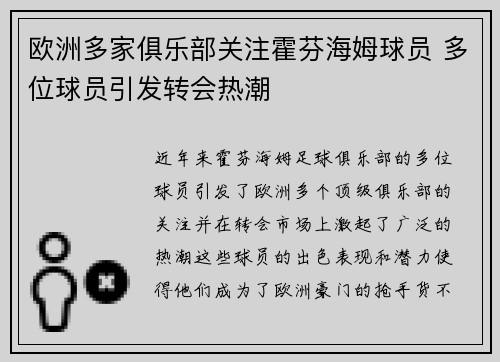 欧洲多家俱乐部关注霍芬海姆球员 多位球员引发转会热潮