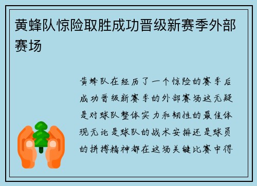 黄蜂队惊险取胜成功晋级新赛季外部赛场 