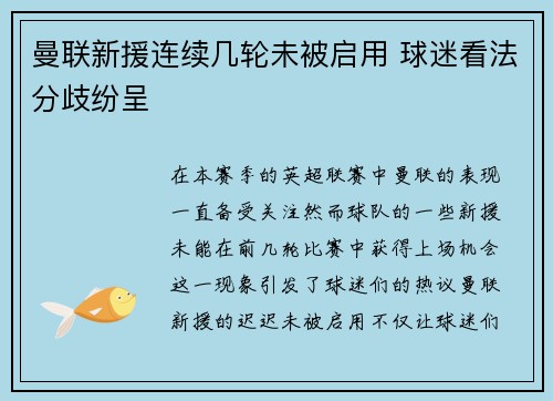 曼联新援连续几轮未被启用 球迷看法分歧纷呈